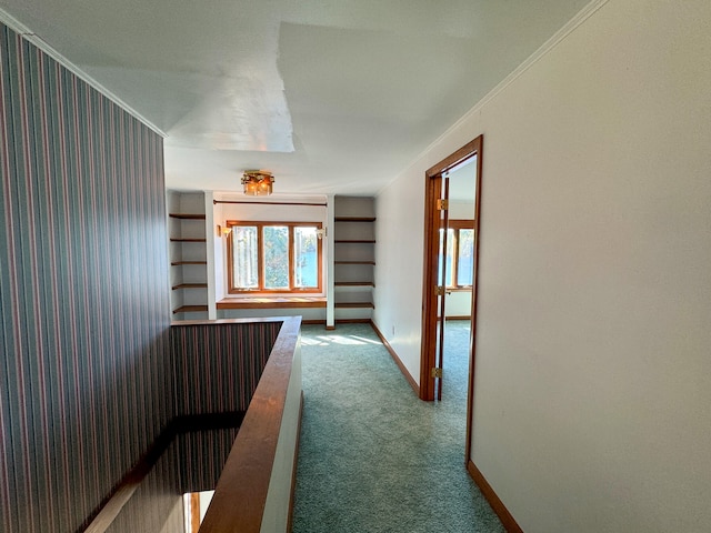 hallway with crown molding and carpet