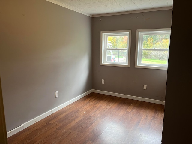 spare room with crown molding and dark wood-type flooring