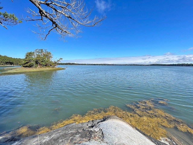 property view of water