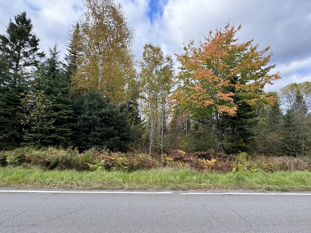 LOT051 Quimby Rd, Winterville Plt, ME 04739 - photo 7