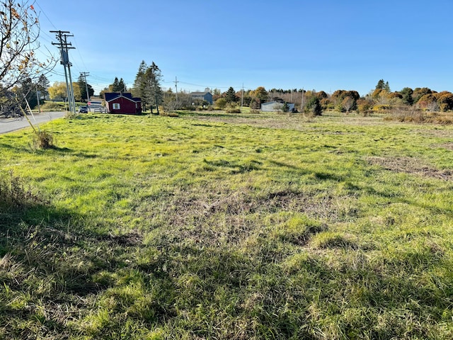 view of yard featuring a rural view