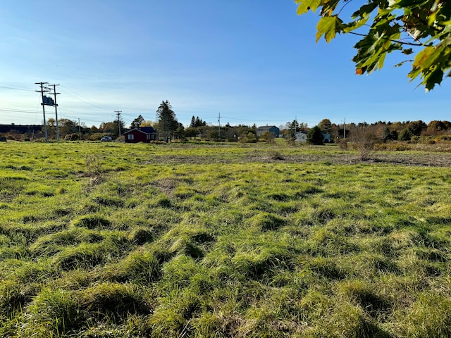 view of yard with a rural view