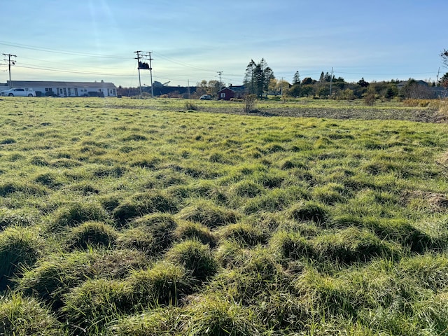 view of yard featuring a rural view