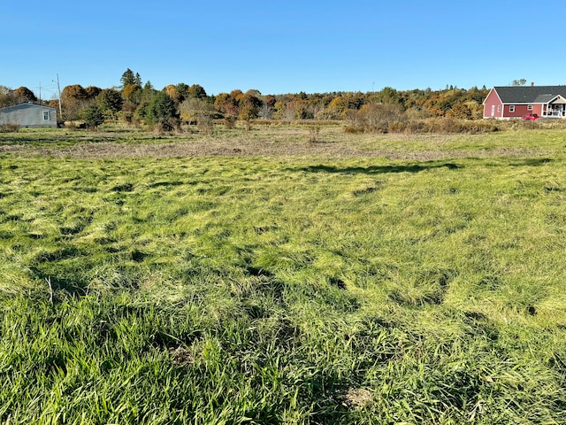 view of yard with a rural view