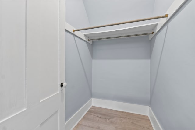 spacious closet featuring light hardwood / wood-style flooring