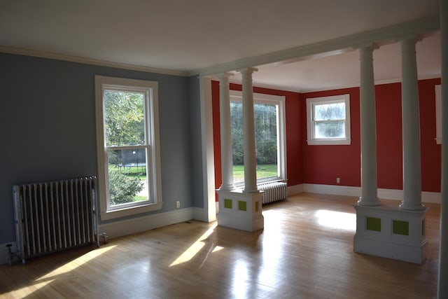 spare room with light wood-type flooring, radiator, and plenty of natural light