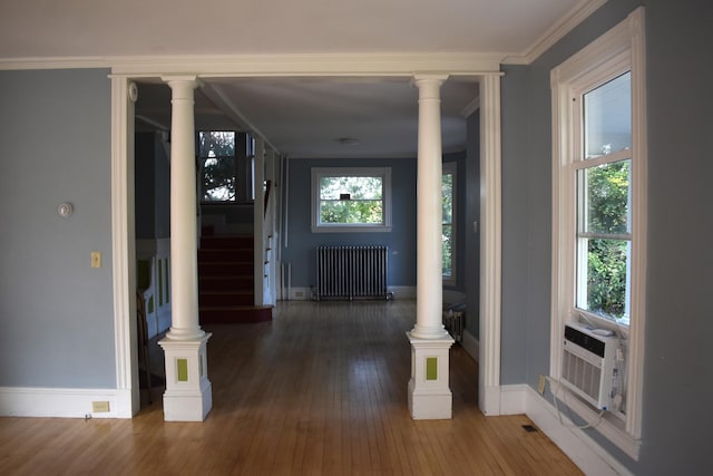 hall featuring crown molding, plenty of natural light, dark wood-type flooring, and radiator heating unit