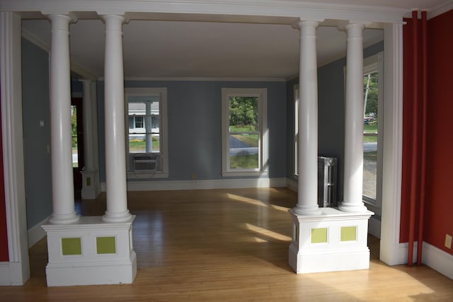 unfurnished living room featuring radiator heating unit, light wood-type flooring, plenty of natural light, and ornamental molding