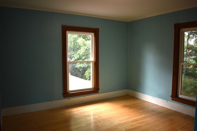 spare room featuring light wood-type flooring, crown molding, and a wealth of natural light