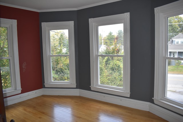 spare room featuring wood-type flooring and crown molding