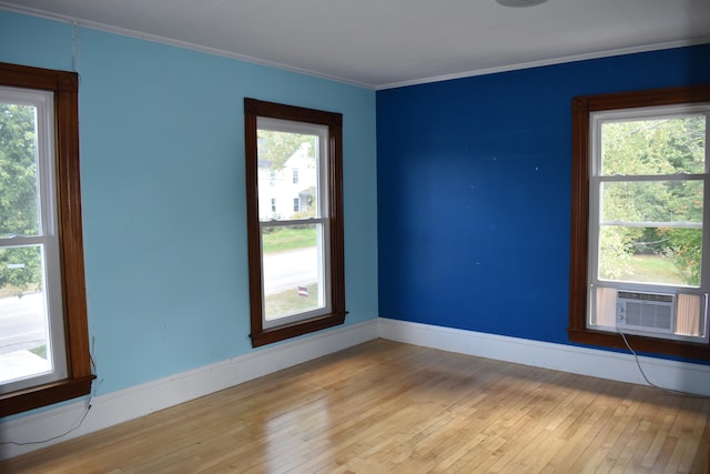 empty room featuring light wood-type flooring and plenty of natural light