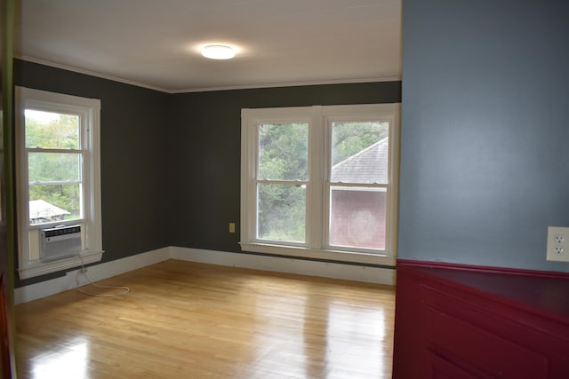 empty room featuring light hardwood / wood-style flooring and crown molding