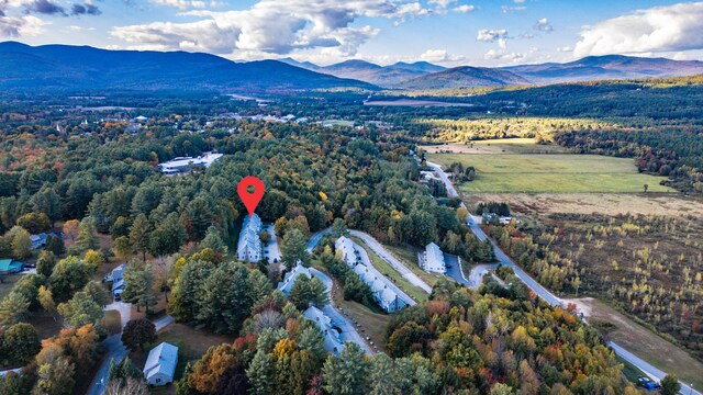 birds eye view of property featuring a mountain view