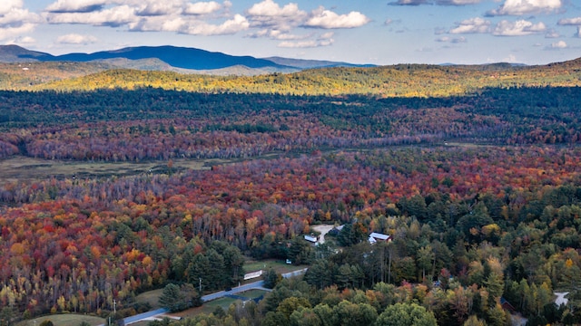 drone / aerial view featuring a mountain view