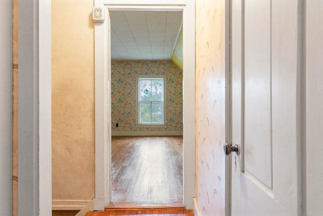 hallway featuring lofted ceiling and hardwood / wood-style floors