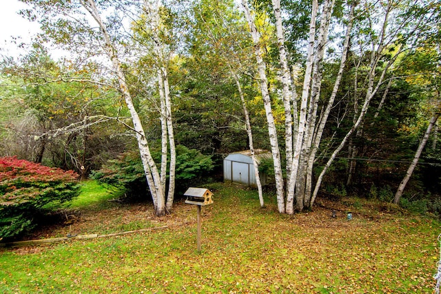 view of yard featuring a storage shed