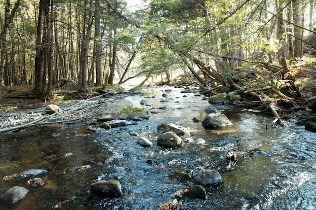 view of local wilderness