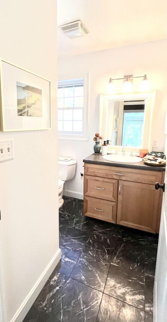 bathroom with a healthy amount of sunlight, toilet, and vanity