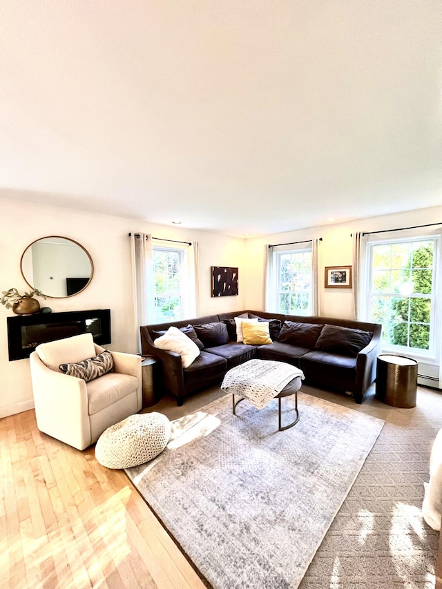 living room featuring hardwood / wood-style floors and a healthy amount of sunlight