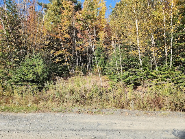 LOT5-8 Bushey Rd, Greenville ME, 04441 land for sale