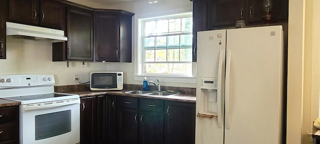 kitchen with dark brown cabinets, sink, white appliances, and a wealth of natural light