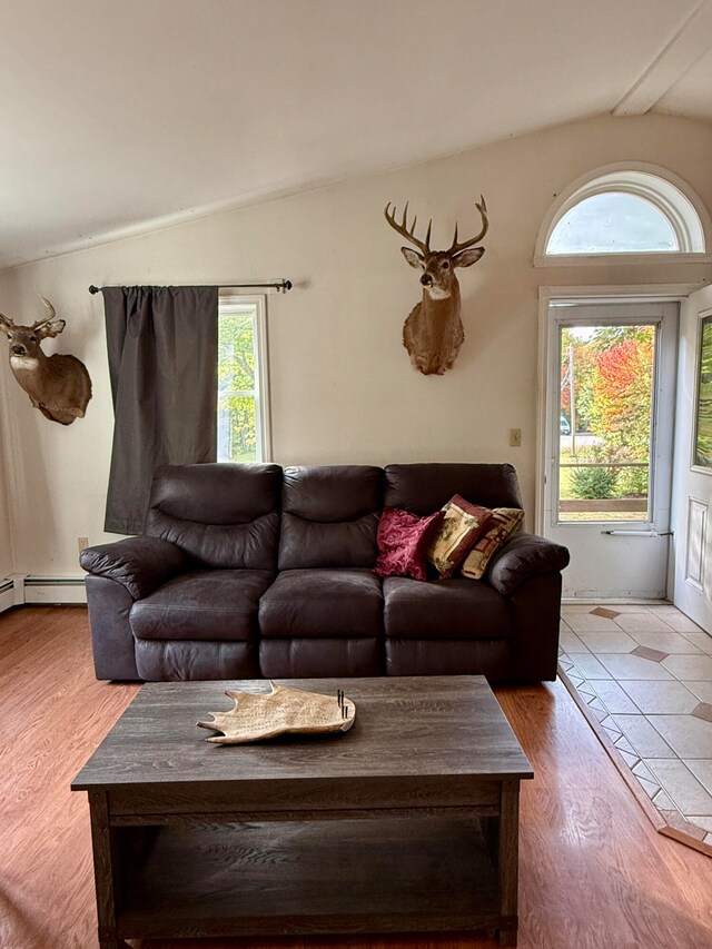 living room with a healthy amount of sunlight, lofted ceiling, and hardwood / wood-style floors