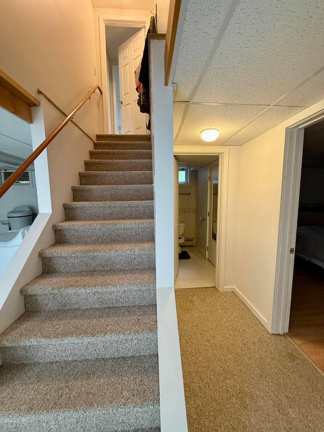 stairs featuring carpet floors and a drop ceiling