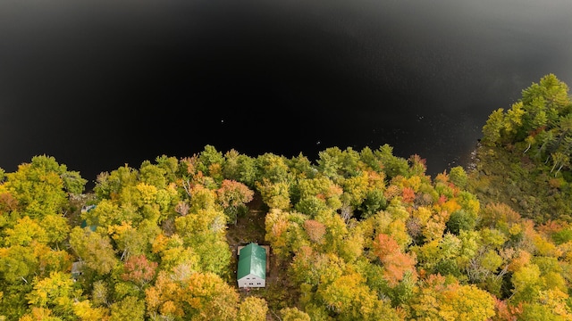 5-27 Cooks Is, Orneville Twp, ME 04463 - bird's eye view of a forest
