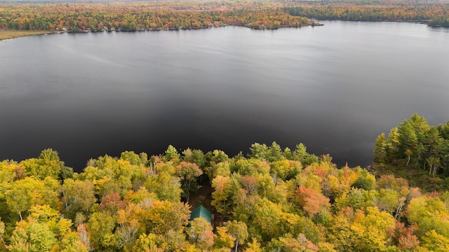 5-27 Cooks Is, Orneville Twp, ME 04463 - bird's eye view of a heavily wooded area and a nearby body of water