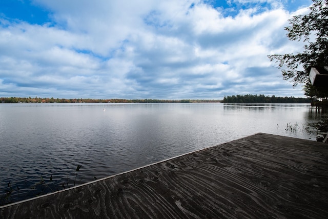 view of water feature