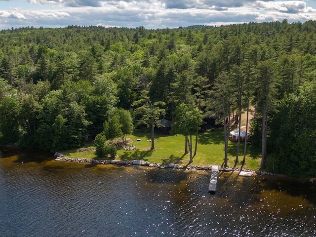 LOT1 Camp Woodlands Rd, Bridgton, ME 04009 - photo 34