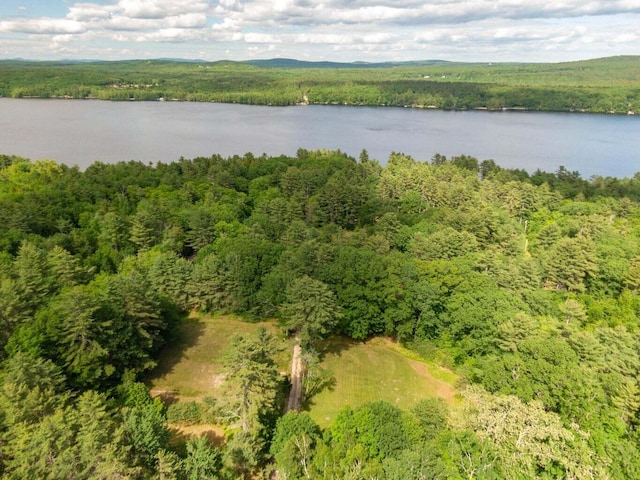 LOT1 Camp Woodlands Rd, Bridgton, ME 04009 - photo 36