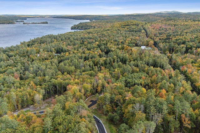 LOT1 Camp Woodlands Rd, Bridgton, ME 04009 - photo 30
