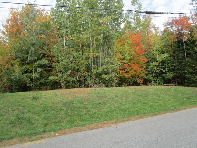 LOT15 Nadines Way, Bangor ME, 04401 land for sale