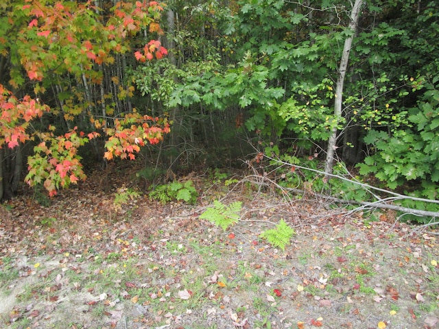 Listing photo 3 for LOT15 Nadines Way, Bangor ME 04401