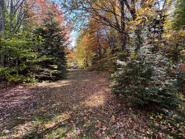 00 Main St, Saint Francis, ME 04774 - photo 11