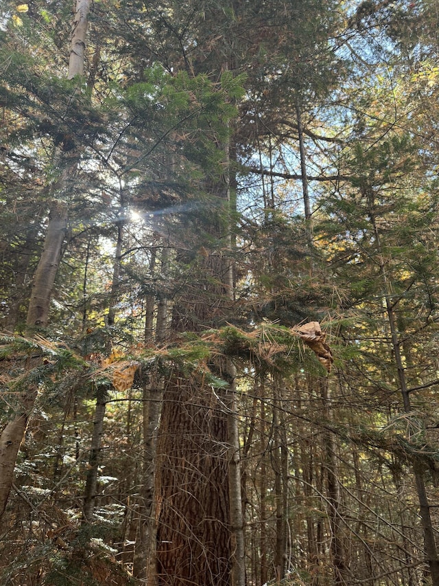 00 Main St, Saint Francis, ME 04774 - photo 18