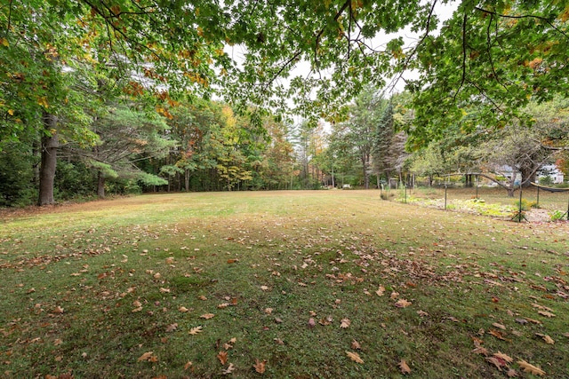 459 Durham Rd, Brunswick, ME 04011 - view of green lawn with a view of trees