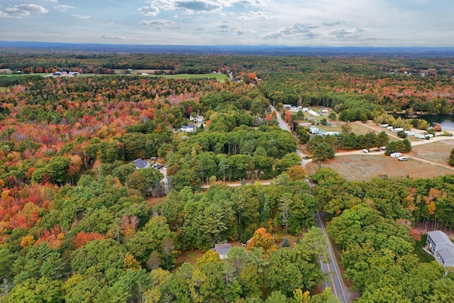 459 Durham Rd, Brunswick, ME 04011 - aerial view of property's location with a heavily wooded area