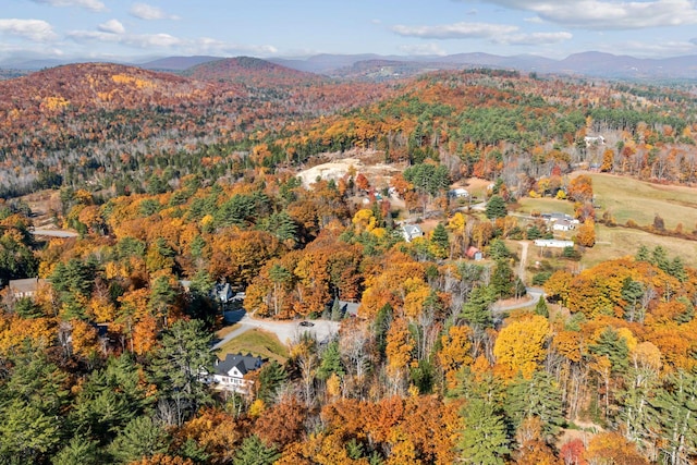 bird's eye view with a mountain view