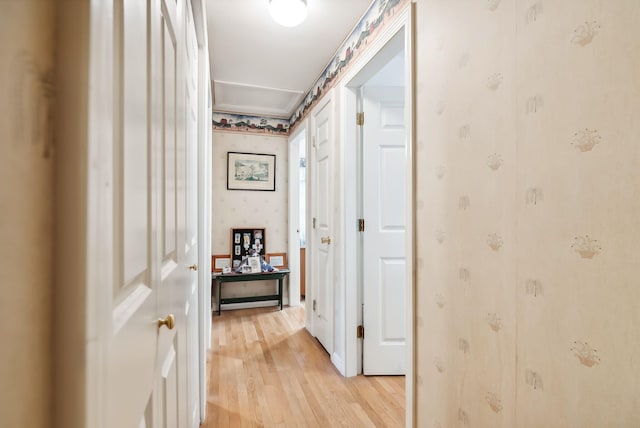 corridor featuring light wood-type flooring