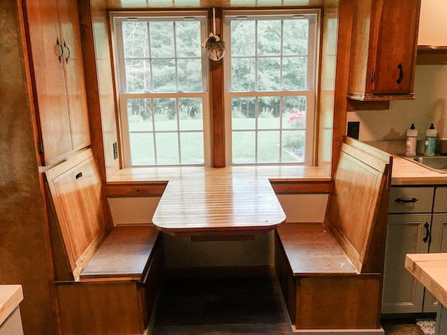 dining space with breakfast area and a wealth of natural light