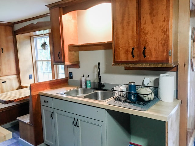 kitchen featuring crown molding, sink, and gray cabinetry