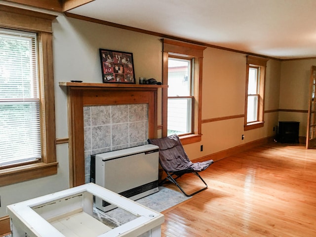 552 Egypt Rd, Alna, ME 04535 - living room with baseboards, heating unit, a fireplace, crown molding, and light wood-style flooring