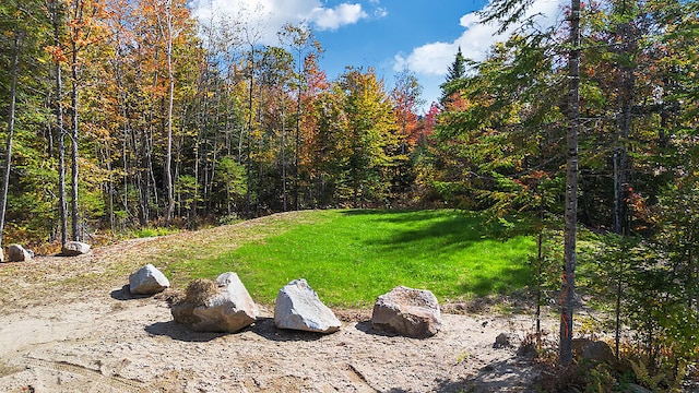 view of yard with a forest view