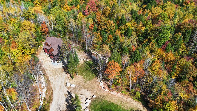 drone / aerial view with a view of trees