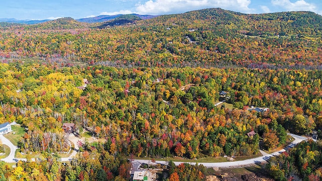 birds eye view of property with a mountain view and a wooded view