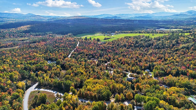 birds eye view of property with a forest view and a mountain view