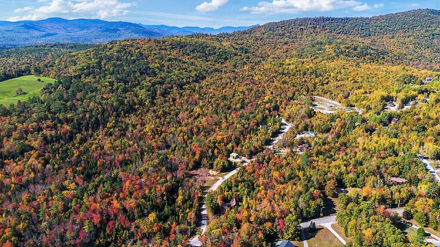 birds eye view of property featuring a mountain view and a view of trees