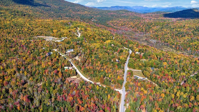 birds eye view of property with a mountain view and a view of trees